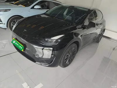 2022 Tesla Model Y Facelift Rear-Wheel Drive Version, фото 1, лот 10370183