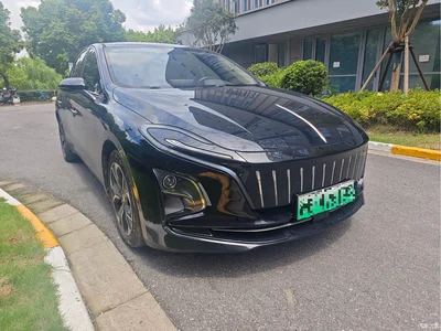 2021 Hongqi E-QM5 Charging Flag Premium Edition, фото 3, лот 10402045