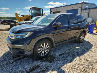 2019 HONDA PILOT EXL, фото 1, лот 11392055