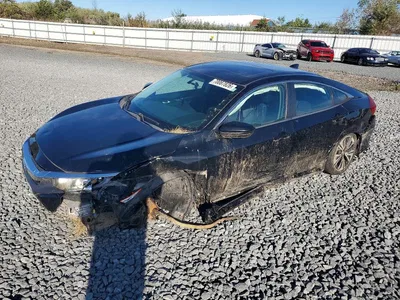 2016 HONDA CIVIC EX, фото 1, лот 11572254