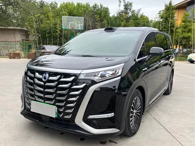 2025 Denza D9 DM-i Smart Drive Edition 1020 AWD Premium, фото 1, лот 10346276