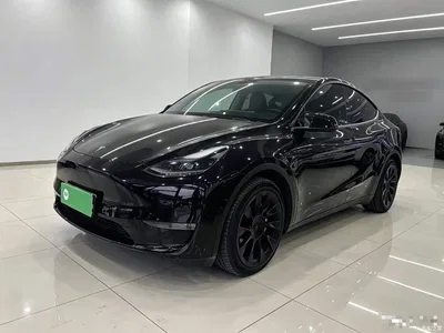 2021 Tesla Model Y Standard Range Rear-Wheel Drive, фото 1, лот 11205353