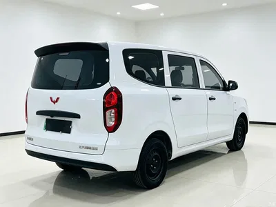 2024 Wuling Motors Wuling Hongguang New Energy Pure Electric 300KM Standard, фото 3, лот 11175478