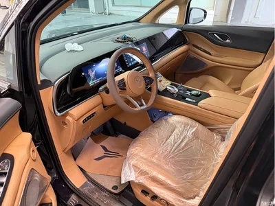 2024 Voyah Auto Voyah Dreamer PHEV Extended Range Premium Edition, фото 4, лот 11199514