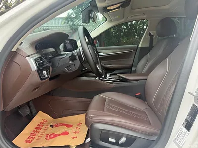2020 BMW 5 Series 530Li Leading Luxury Package, фото 4, лот 11548922