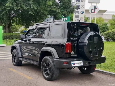 2021 Tank 300 Off-road Version 2.0T Conqueror, фото 4, лот 11098314