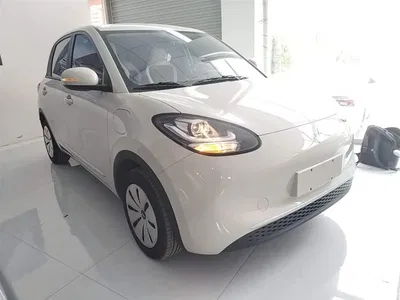 2025 Wuling Motors Wuling Bingo Model 203km Light Enjoyment, фото 4, лот 10372014