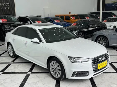 2019 Audi A4L 40 TFSI Progressive (China VI), фото 3, лот 10437030
