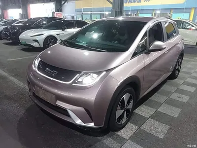 2023 BYD Dolphin 420km Freedom Edition, фото 1, лот 11174461