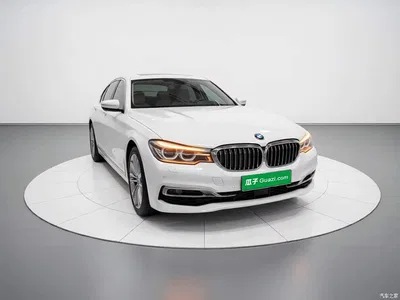 2020 BMW 5 Series New Energy 530Le Range Upgrade Luxury Package, фото 3, лот 11188869