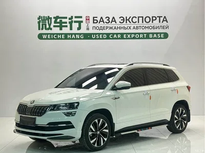 2022 Škoda Karoq TSI280 Luxury Edition, фото 1, лот 10349482