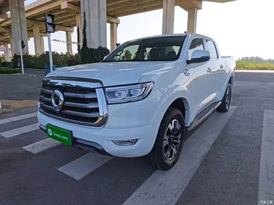 2021 Great Wall Pao 2.0T Passenger Global Edition Automatic Gasoline 2WD Comfort Standard Box GW4C20B, фото 2, лот 10246307