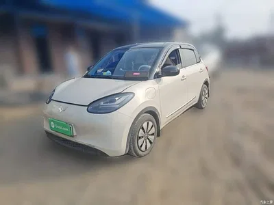 2024 Wuling Motors Wuling Bingo 333km Comfort Edition, фото 1, лот 11096074
