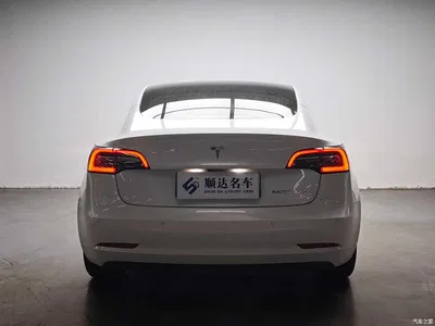 2020 Tesla Model 3 Standard Range Rear-Wheel Drive Upgrade, фото 3, лот 10360175