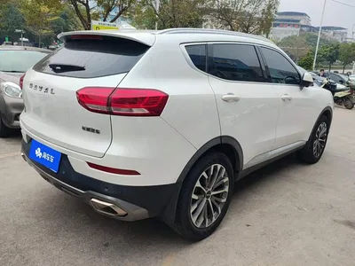 2020 Haval H6 1.5GDIT Automatic Platinum Champion Edition, фото 4, лот 11201842
