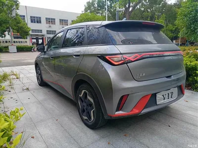 2021 BYD Dolphin Model 405km Fashion Edition, фото 4, лот 10323877
