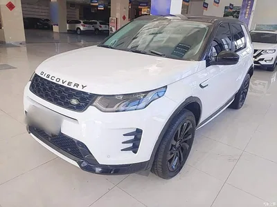 2024 Land Rover Discovery Sport Performance Technology Edition, фото 1, лот 10338258