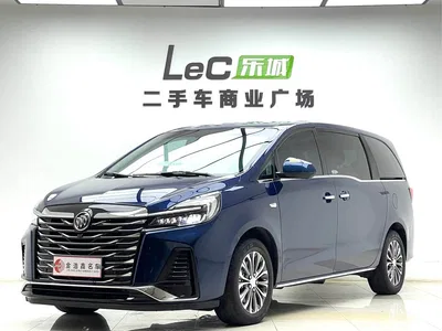 2023 Buick GL8 Facelift Land Business Class Luxury, фото 1, лот 10256108