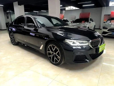 2023 BMW 5 Series Facelift 530Li Premium M Sport Package, фото 4, лот 11395812