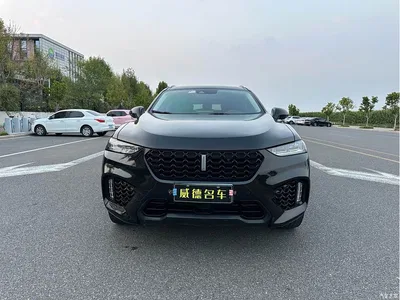 2017 WEY VV7 2.0T Flagship, фото 2, лот 10999386