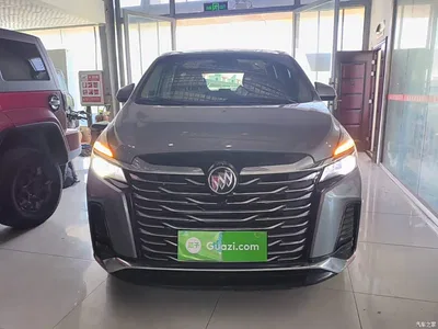 2023 Buick GL8 Facelift Land Business Class Luxury, фото 3, лот 10262337