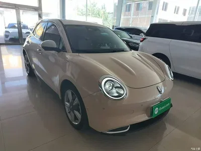 2021 Ora Good Cat 400km Standard Range Athena Edition (LFP), фото 4, лот 10330701