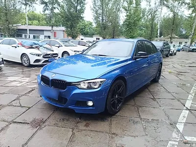 2019 BMW 3 Series 320Li M Sport Black Night Edition, фото 1, лот 10457502