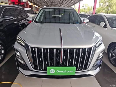 2023 Hongqi HS5 2.0T Flag Enjoy Pro Edition, фото 3, лот 10289457