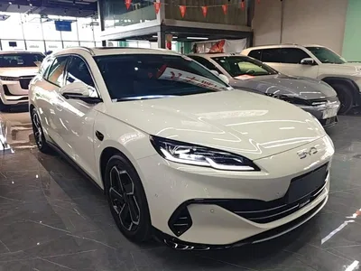 2025 BYD Seal 06 DM-i Touring DM-i 150KM Flagship, фото 4, лот 10271857