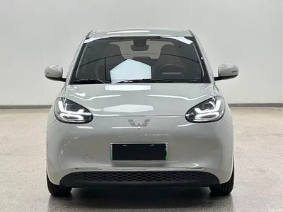 2023 Wuling Motors Wuling Bingo Model 333km Joy+ Version, фото 2, лот 10625496