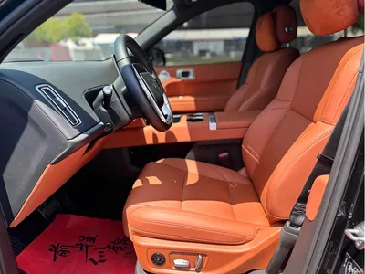 2024 Li Auto L6 Pro, фото 4, лот 10447164