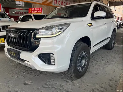 2022 Haval H9 2.0T Gasoline 4WD Luxury 7-seater, фото 1, лот 10282615