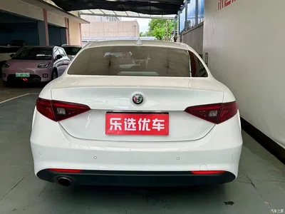 2017 Alfa Romeo Giulia 2.0T 200HP Elite Edition, фото 4, лот 11203756