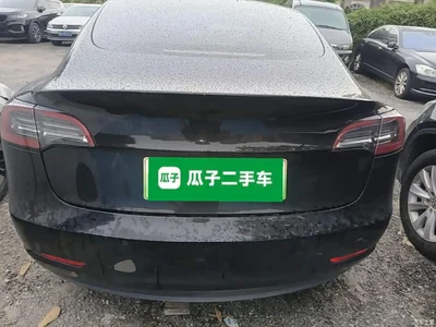 2022 Tesla Model 3 Model Rear-Wheel Drive Version, фото 4, лот 10845633