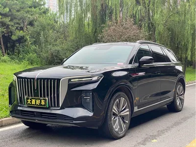 2021 Hongqi E-HS9 460km Flagship Comfort 6-seater, фото 1, лот 10287973