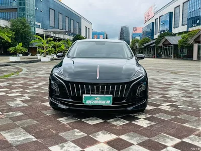 2023 Hongqi E-QM5 Facelift Basic Travel Edition, фото 2, лот 10288184