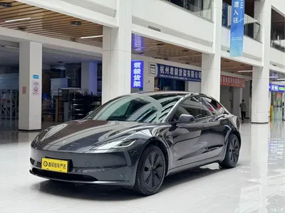 2025 Tesla Model 3 Model Rear-Wheel Drive Edition, фото 1, лот 11134247