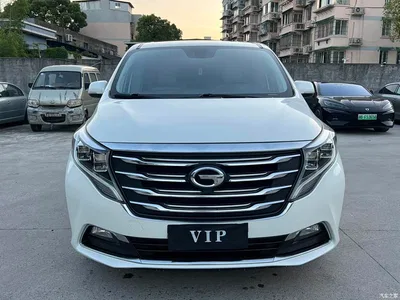 2018 GAC Trumpchi Trumpchi M8 320T Premium Edition, фото 2, лот 10416532