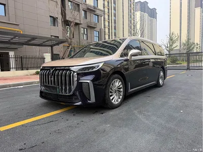 2024 Voyah Auto Voyah Dreamer PHEV Extended Range Premium Edition, фото 1, лот 11073609