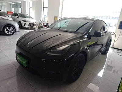 2021 Tesla Model Y Standard Range Rear-Wheel Drive, фото 1, лот 11598239