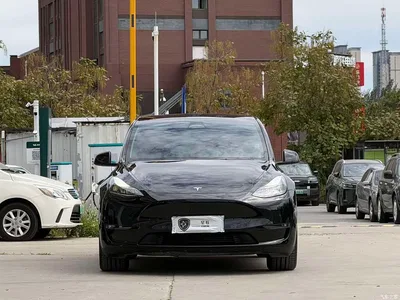 2023 Tesla Model Y Long Range All-Wheel Drive Edition, фото 2, лот 10611624