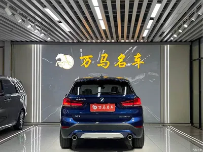 2020 BMW X1 sDrive20Li Premium Edition, фото 4, лот 10466189