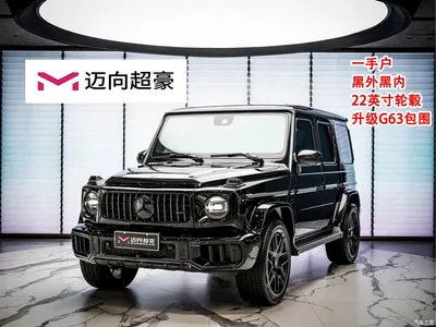 2024 Mercedes-Benz G-Class G 350, фото 1, лот 10251123