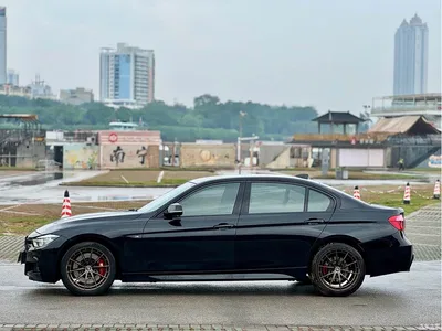 2017 BMW 3 Series 320Li M Sport, фото 3, лот 10481758