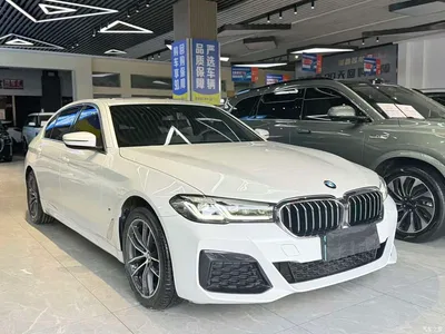 2021 BMW 5 Series 525Li M Sport Package, фото 1, лот 10445020