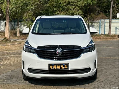 2022 Buick GL8, фото 3, лот 10245749