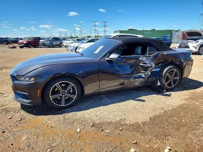 2024 FORD MUSTANG, фото 1, лот 10553000