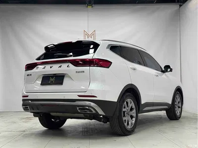 2021 Haval H6 Model National Trend Edition 1.5T Auto Champion, фото 4, лот 10282207