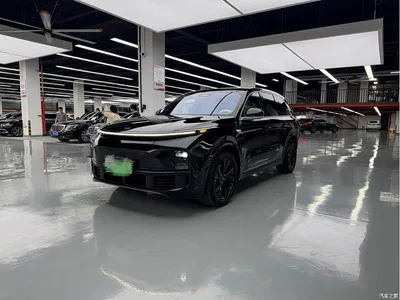 2023 Li Auto Li L8 Pro, фото 1, лот 11090176