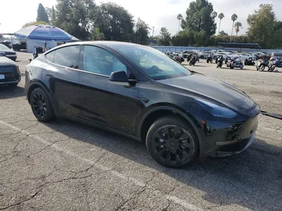 2024 TESLA MODEL Y, фото 4, лот 10677055